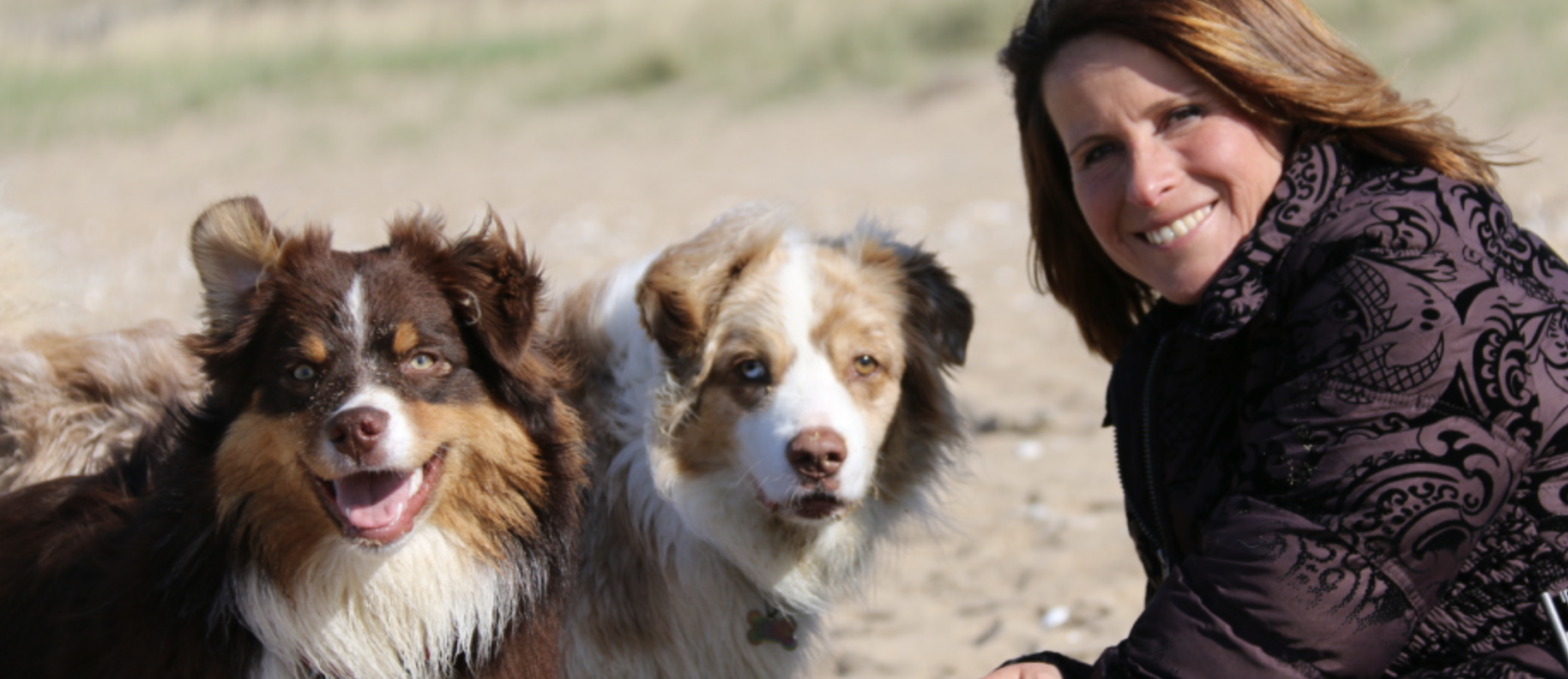  Conseillère au conseil d'administration et responsable équipe communication