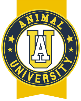 Animal University