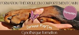 Cynothèque Formation